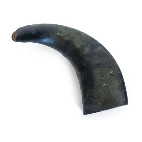 Wolly's Ranch Dog Snack Corno di Bufalo