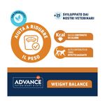 Advance Diets Cat Weight Balance Busta 85G -4