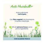 almo-holistic-cat-hairball-salmone-2KG-10075636 -2-
