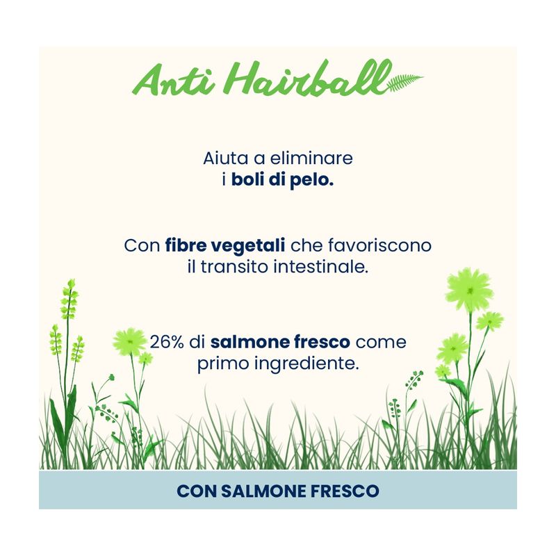 almo-holistic-cat-hairball-salmone-2KG-10075636 -2-