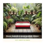 almo-nature-gatto-lettiera-cat-litter--5-