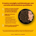 Almo-Nature-HFC-Natural-Dog-Sfilaccetti-Lattina-Multipack-12x290G-10059603 -4-