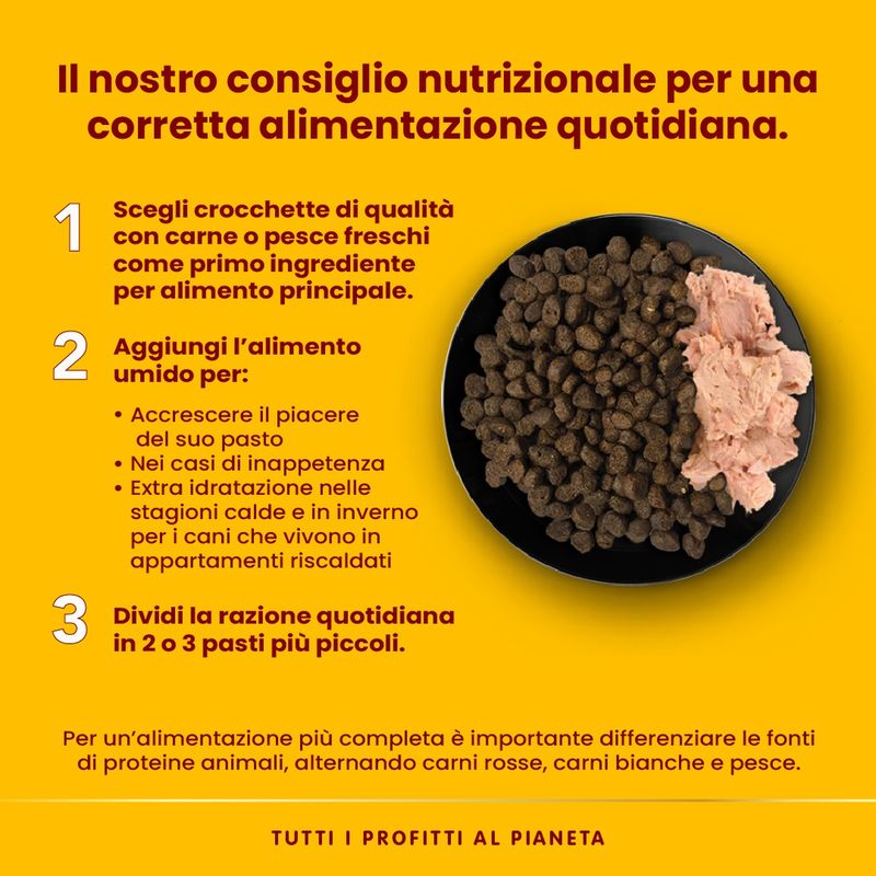 Almo-Nature-HFC-Natural-Dog-Sfilaccetti-Lattina-Multipack-12x290G-10059603 -4-