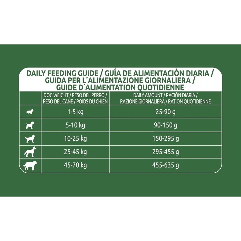 libra-dog-adult-pollo-10174063--8-