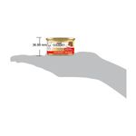 gourmet-gold-gatto-cuore-morbido-lattina-85g-10078726--7-