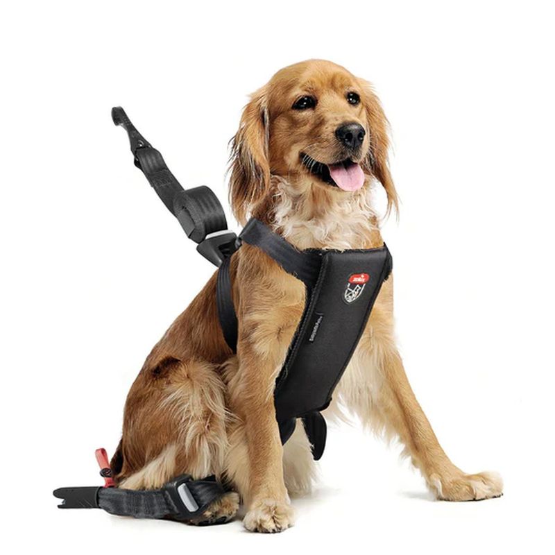 zolux-babyauto-dog-travel-imbracatura-di-sicurezza-nera-10188131-4