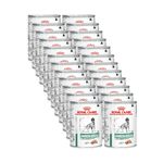 royal-canin-veterinary-diet-cane-diabetic-410g-1000000001455