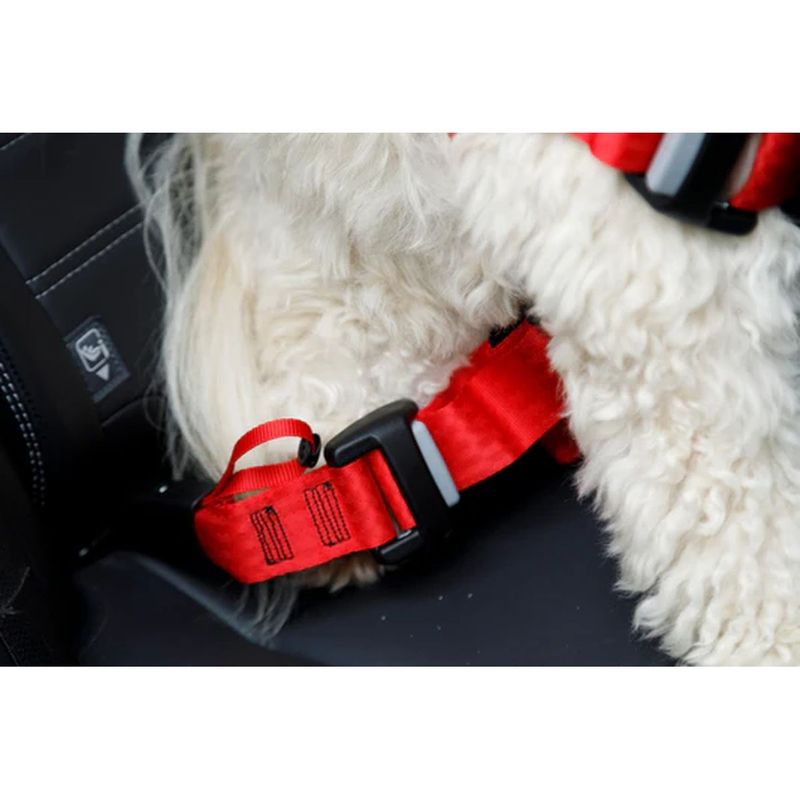 zolux-babyauto-dog-travel-imbracatura-di-sicurezza-rossa-10188132-9_risultato