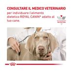Royal-Canin-V-Diet-Gastrointestinal-High-Fiber-Alimento-dietetico-completo-per-cani-adulti-1000000001554-6
