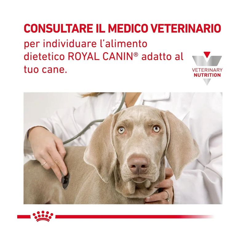 Royal-Canin-V-Diet-Gastrointestinal-High-Fiber-Alimento-dietetico-completo-per-cani-adulti-1000000001554-6
