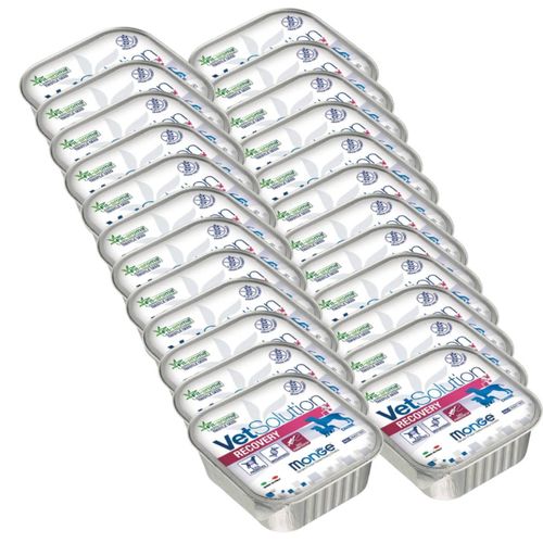 Monge Vetsolution Recovery Vaschetta