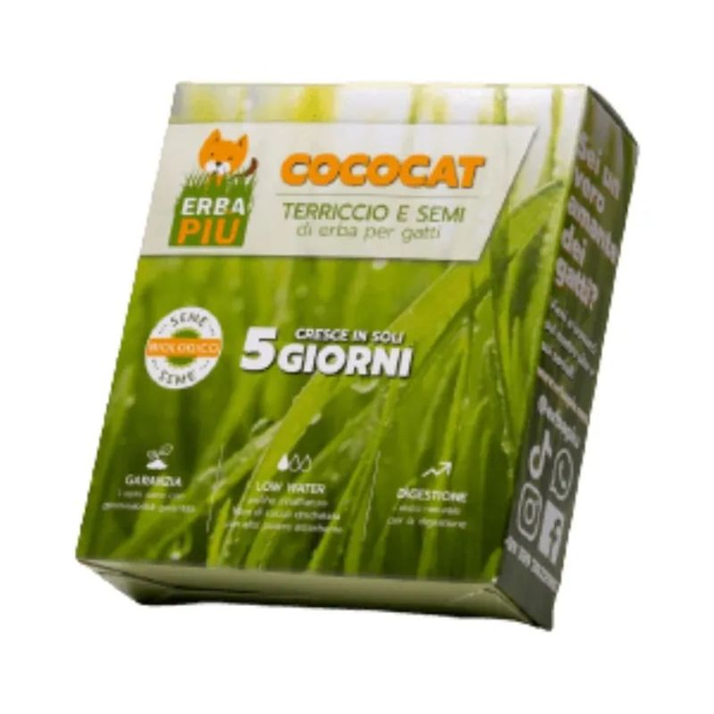 erba-piu-cococat-terricio-e-semi-di-erba-gatta-1000000001682