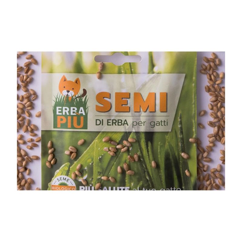 erba-piu-bustine-semi-front-1000000001686
