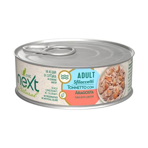 Next Natural Cat Lattina Multipack 48x70G