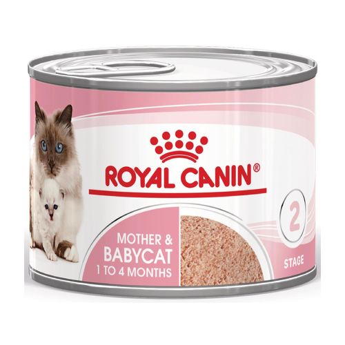 Royal Canin Mother & Babycat Lattina Multipack 12x195G Alimento Completo per Gatte e Gattini da 1 a 4 Mesi di Età