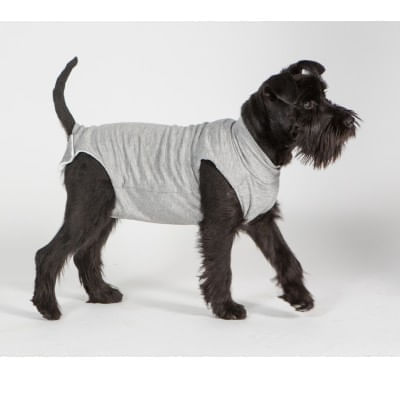 Maglietta Vestito Post Operatorio Gatto Fai Da Te Body Protettivo