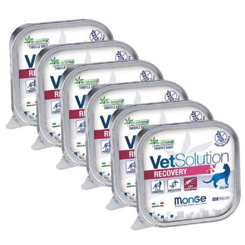 Monge Vet Solution Gatto Recovery Vaschetta 100G