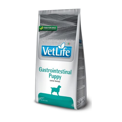 Farmina Vet Life Puppy Intestinal