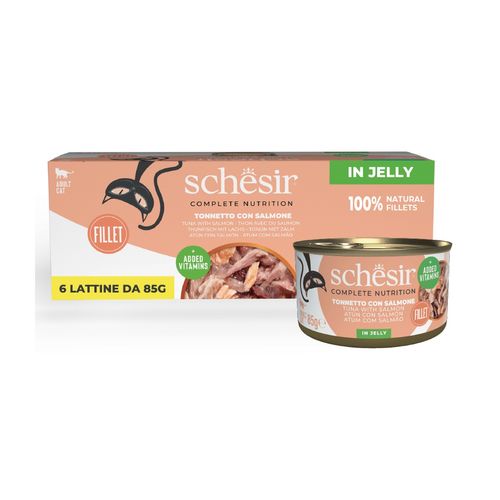 Schesir Cat Lattina in Gelatina Multipack 6x85G