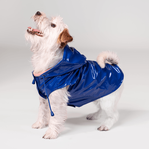 Yes! Impermeabile Cane Raindrop Blu