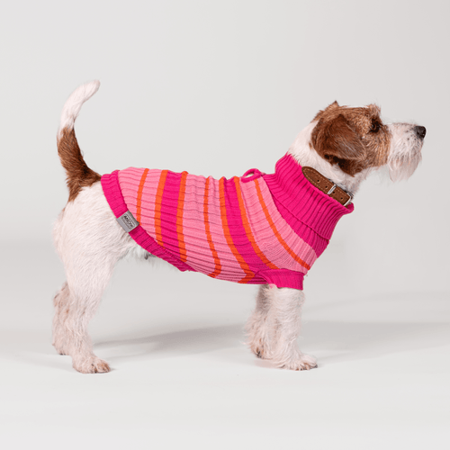 AniOne Dog Maglione Little&Trendy Lia