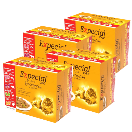 Expecial Cat Busta Multipack Bocconcini in Gelatina