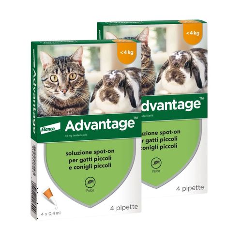 Advantage Antiparassitario Spot on per Gatti sotto 4KG