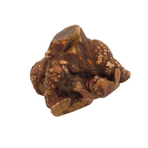 Wolly's Ranch Snack Cane Radice di Erica