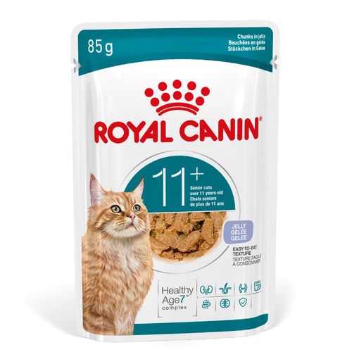 Royal Canin Cat Ageing +11 in Gelatina Busta Multipack 48x85G