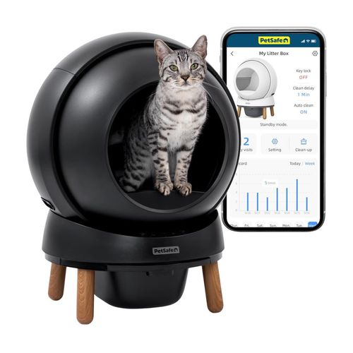 Lettiera Autopulente per Gatti con App e Controllo Odori PetSafe