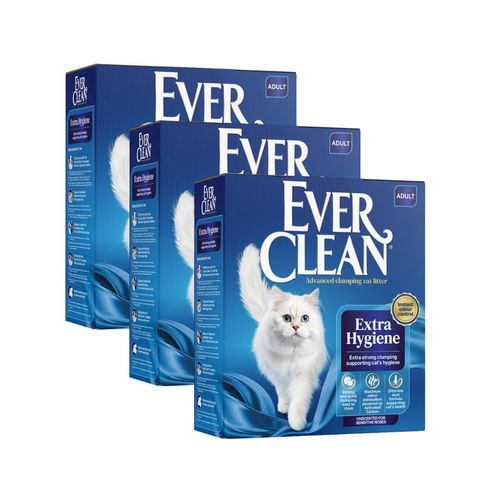 Everclean Sabbia Extra Strong Unscented