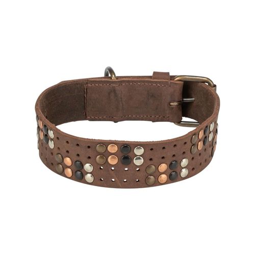 Collare per Cani in Cuoio Trixie