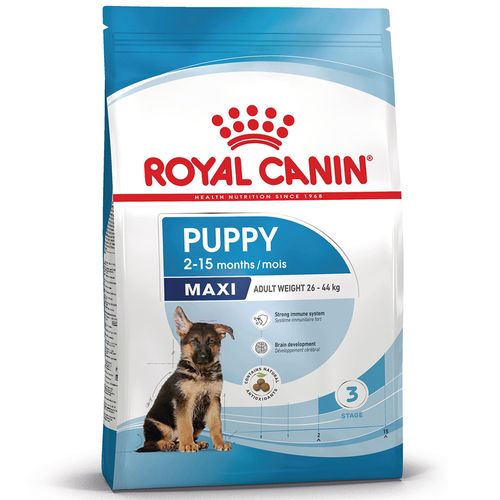 Royal Canin Maxi Puppy Alimento completo per cuccioli di taglia grande Fino a 15 mesi di età