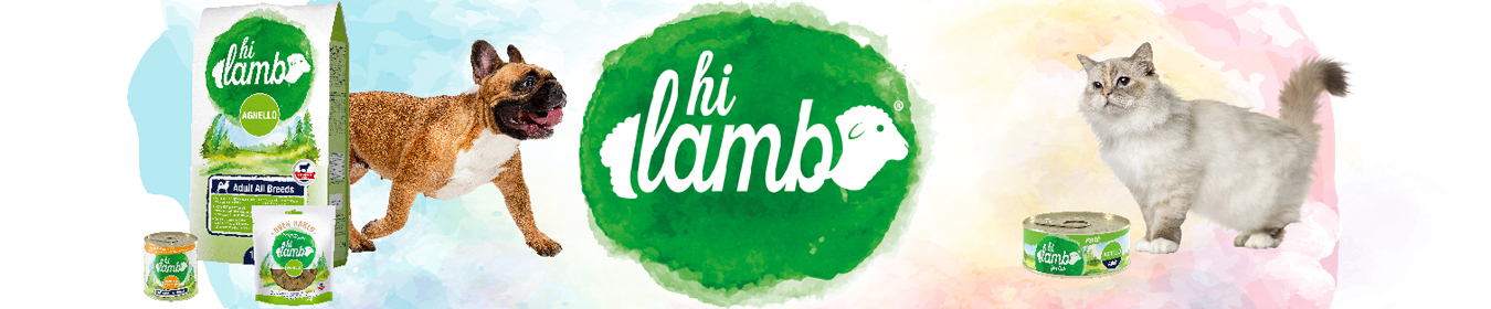 Hi Lamb