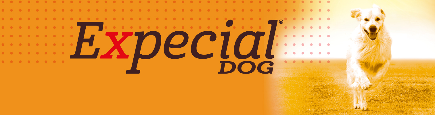 Expecial dog