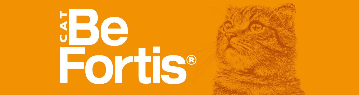 Befortis Cat