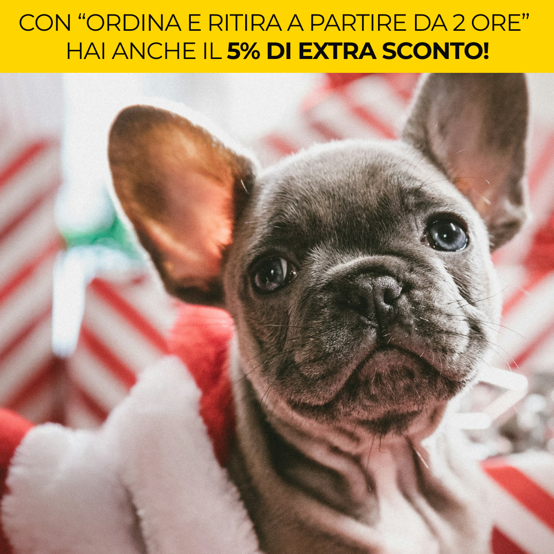 Cibo e accessori per cani gatti e animali domestici Arcaplanet