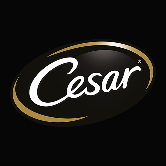 Logo brand Cesar